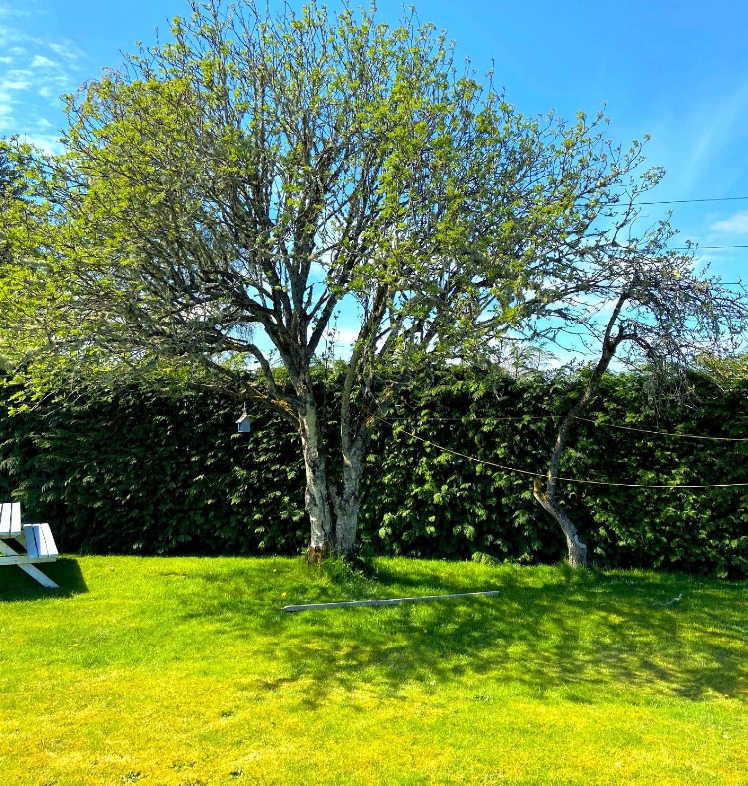 26 Green Drive Inverness Inshes Bagian luar foto